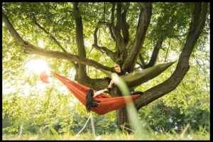 Engage with cannabis